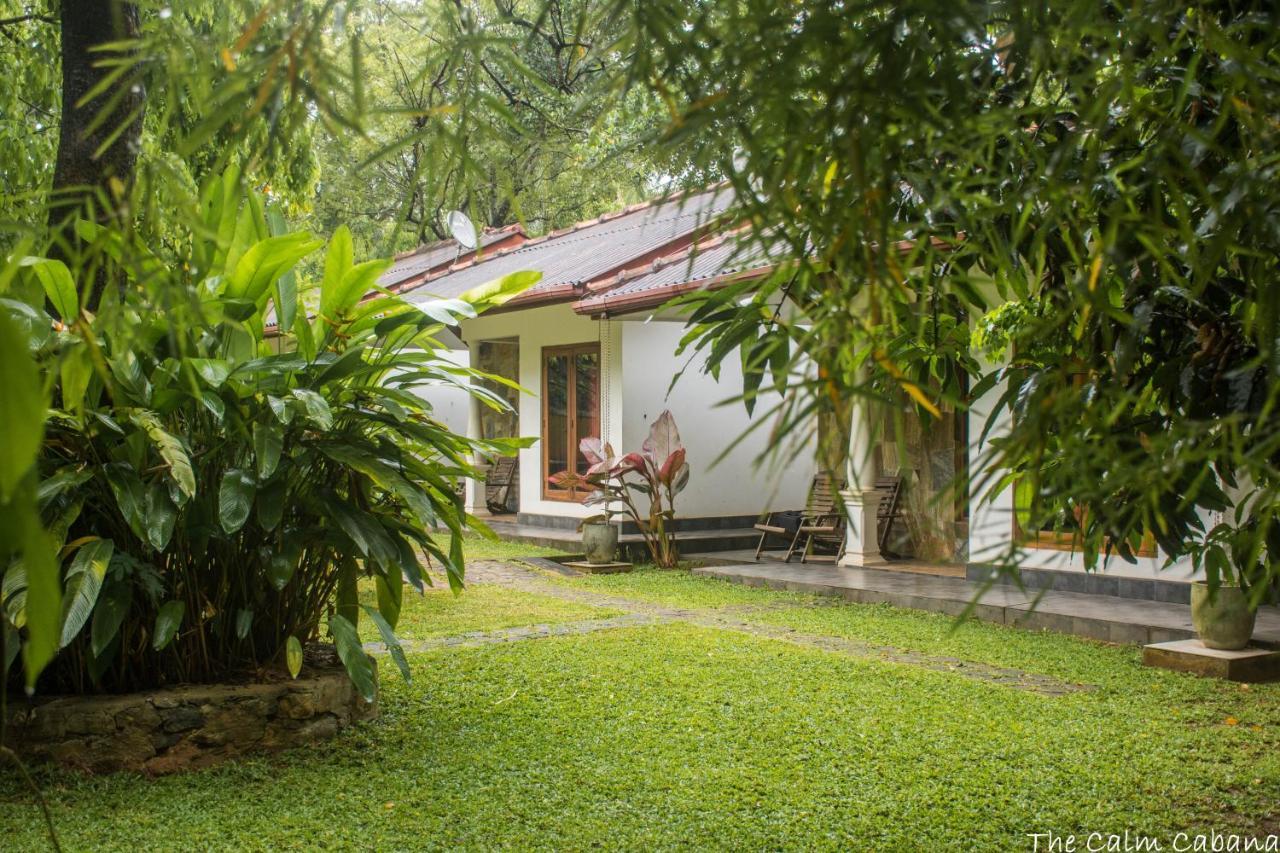 The Calm Cabana ダンブッラ エクステリア 写真